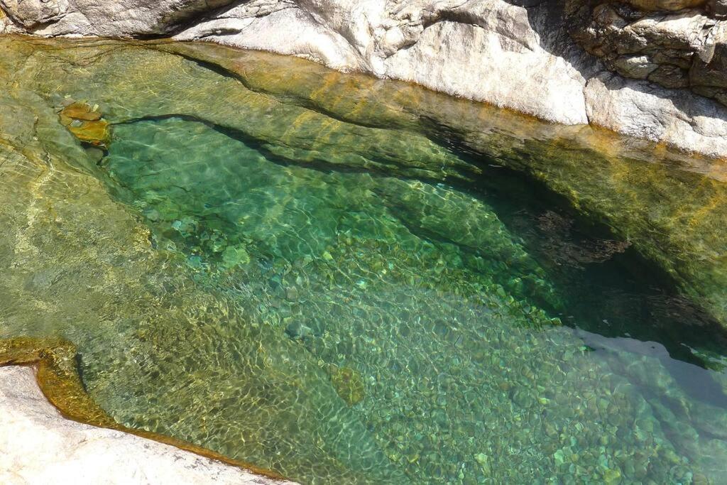 Le Capu Biancu-Location Avec Vue Proche Des Gorges De L Asco Entre Mer Et Montagne Moltifao Kültér fotó